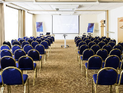 OLEVENE image - novotel-nice-olevene-meeting-