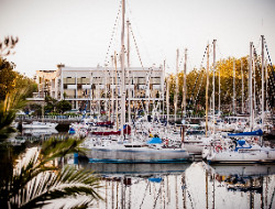 OLEVENE image - palais-congres-lorient-olevene-evenements-