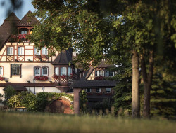 OLEVENE image - parc-hotel-obernai-olevene-reunion-