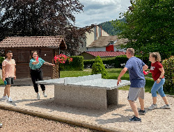 OLEVENE image - ping-pong-