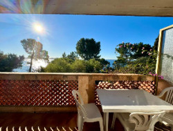 OLEVENE image - provencal-hyeres-olevene-meetings-