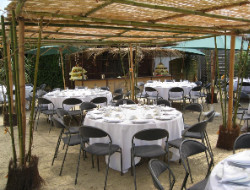 OLEVENE image - village-club-moliets-