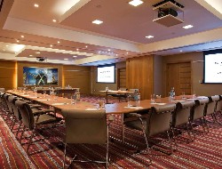 OLEVENE image - sofitel-london-heathrow-olevene-salle-reunion-