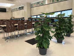 OLEVENE image - toyoko-inn-marseille-olevene-events-