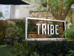 OLEVENE image - tribe-paris-batignolles-olevene-meetings-