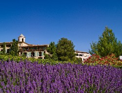 OLEVENE image - Village-Club-Pont-Royal-en-Provence-reception-