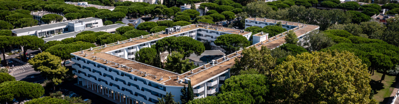 OLEVENE image - village-mileade-motte-olevene-event-
